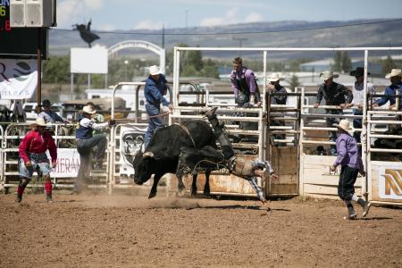 Rodeo Austin