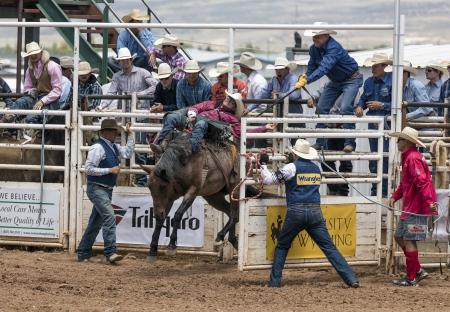 Rodeo Austin