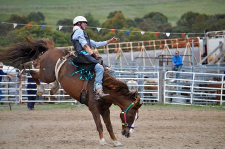 Rodeo Austin