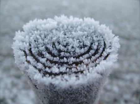 Rolled White Fleece Textile