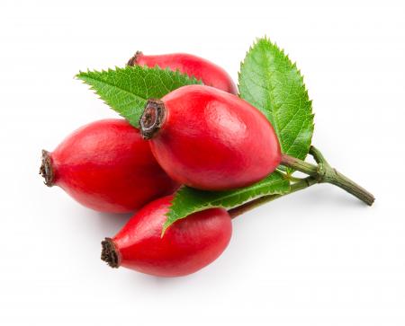 Rosehip