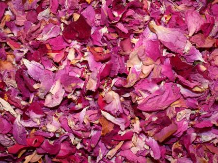 rose petals