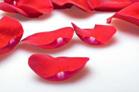rose petals