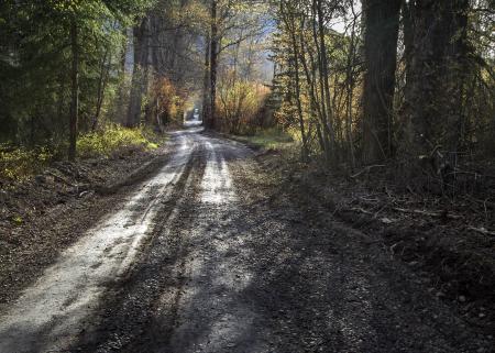 Route through the Woods