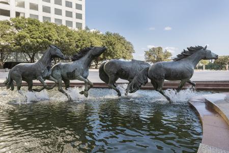 Running Mustangs