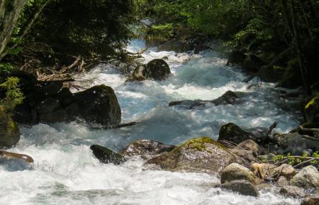 Running Water Stream