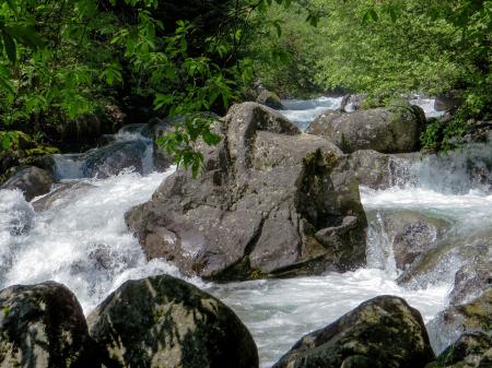 Running Water Stream