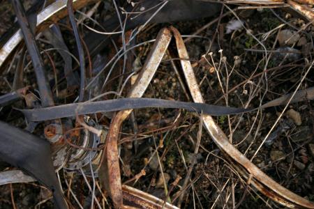 Rusted bicycle