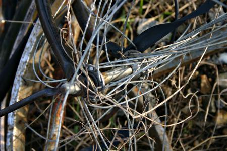 Rusted bicycle