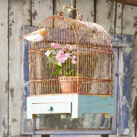Rusted bird cage