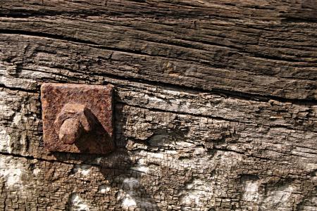 Rusted metal bolt in wood