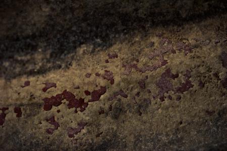 Rusted Metal - Macro Texture