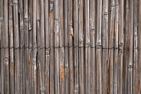 Rustic Bamboo Wall - HDR Texture