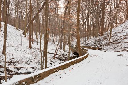 Rustic Winter Bridge Trail