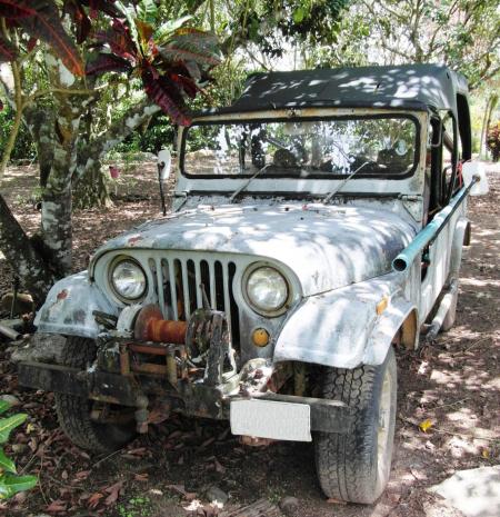 Rusty Old Jeep