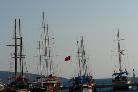 Sailboats at the harbor