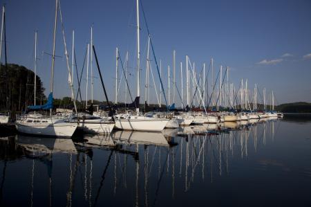 Sailboats in the Lake