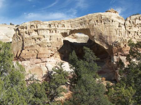 Sam Pollock Arch