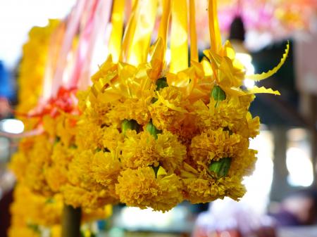 Sampaguita Flowers