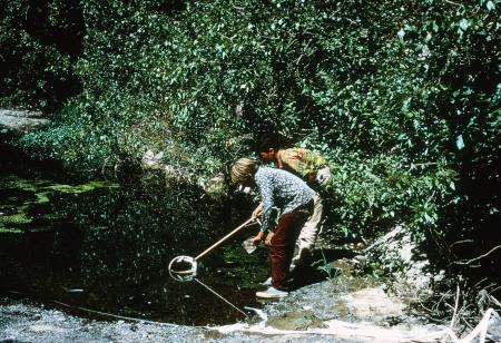 San Francisquito Creek (September 1968)