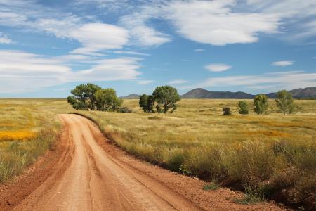 SAN RAFAEL VALLEY GRASSLANDS, SE of Patagonia, scc, az (9-27-10) - morning light -26