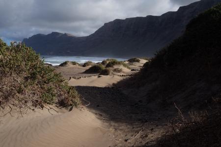 Sand and Green Grass Near Body of Water