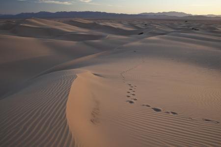 Sand Dunes