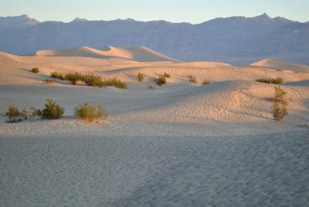 Sand Dunes