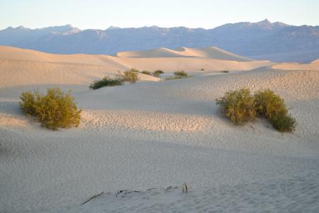 Sand Dunes