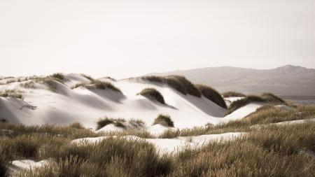 Sand dunes