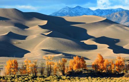 Sand Dunes