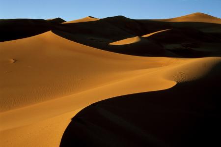 Sand Dunes