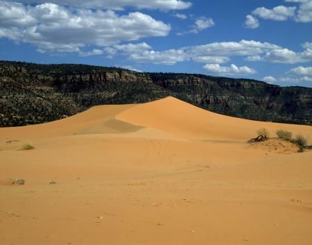 Sand Dunes