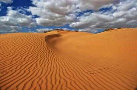 Sand Dunes