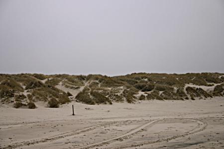 Sand dunes