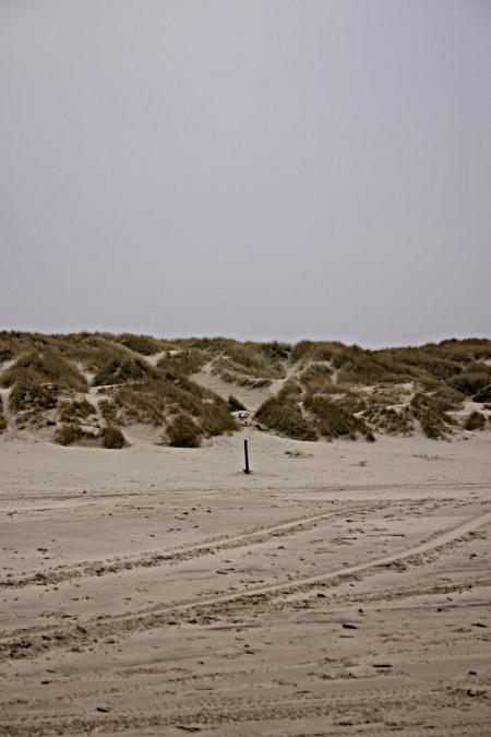 Sand dunes