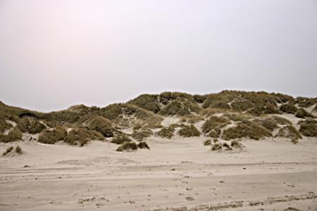 Sand dunes