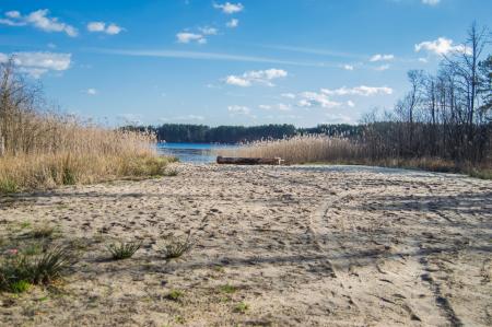 Sandy shore of a forest lake with reeds in the background of blue sky
