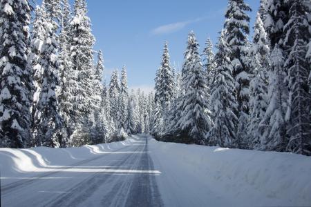 Santiam Pass, Cascade Range, Oregon