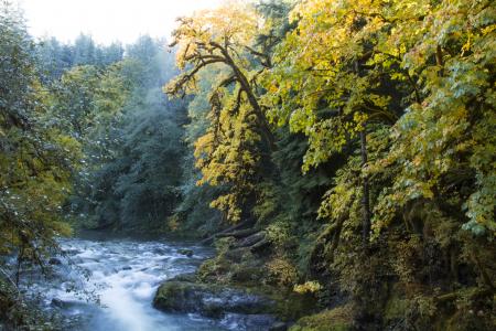 Santiam River in the Willamette National Forest, Oregon
