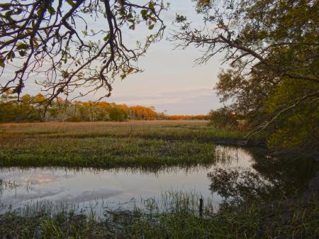 Scene bill smith park ncwetlands KG (6)