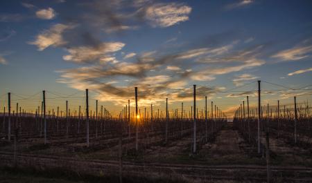 Scenery Fences Overseeing Orange Sunset