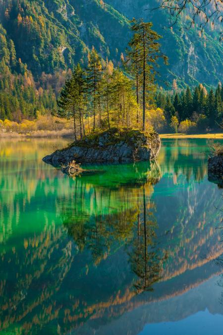 Scenic View of Lake in Forest