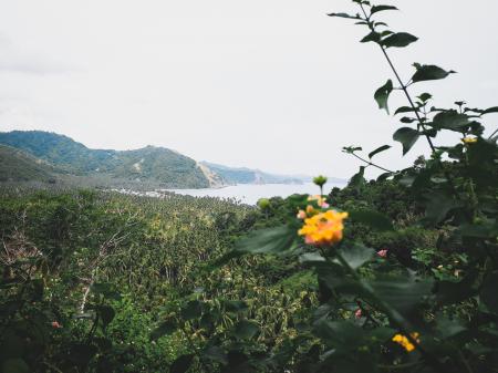 Scenic View of Mountains