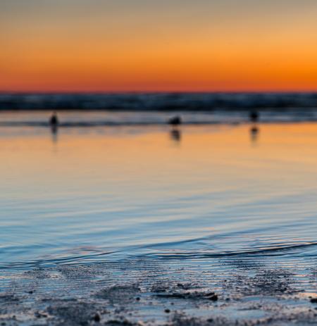 Scenic View of the Beach