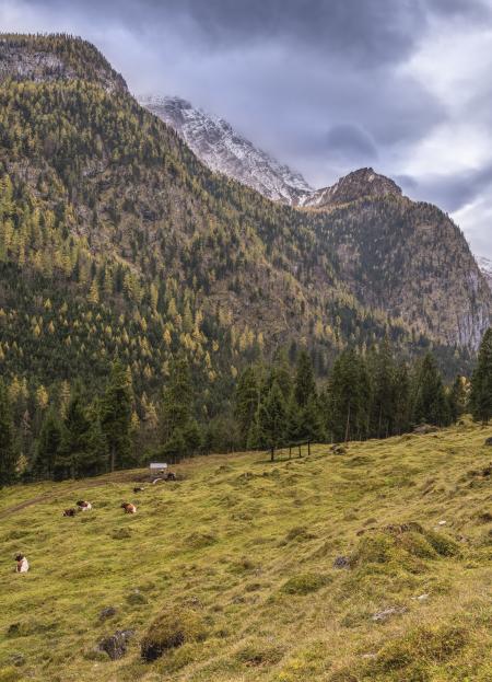 Scenic View of the Mountain