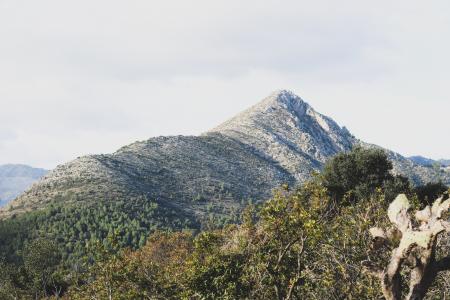 Scenic View of the Mountain