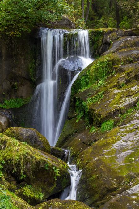 Scenic View of Waterfall