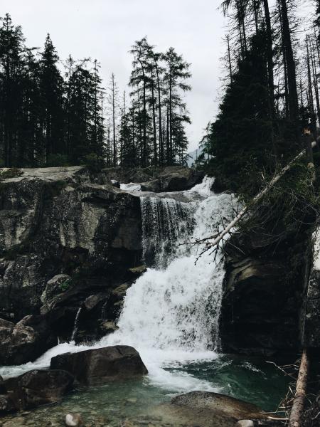 Scenic View of Waterfall in Forest Against Sky