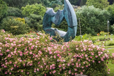 Sculpture in a bush of flowers